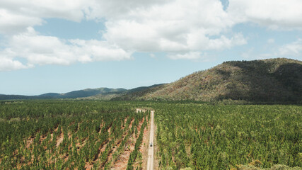 Driving through a forest in a land rover defender
