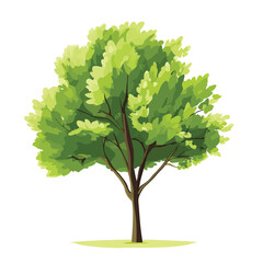 Fototapeta premium Vector illustration of a tree