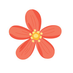 Flower isolated on white colour background