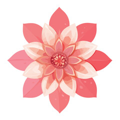 Fototapeta premium Flower isolated on white colour background