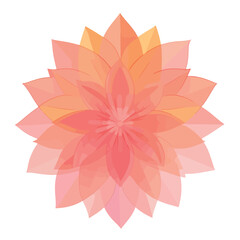 Flower isolated on white colour background