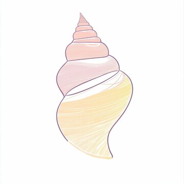 recommend clip art: The beautiful spiral shell displays soft hues of pink and yellow, capturing intricate lines and curves, perfectly illustrating nature's artistry