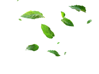 A collection of green leaves falling gracefully, evoking a sense of nature and tranquility.