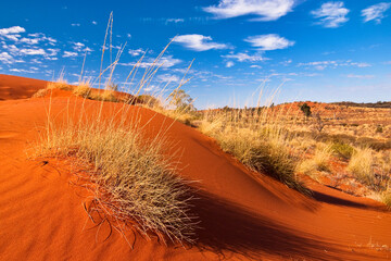 Red sand dunes and desert vegetation in central Australia
