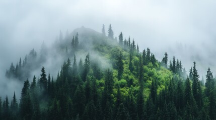 A misty mountain range with lush green trees.