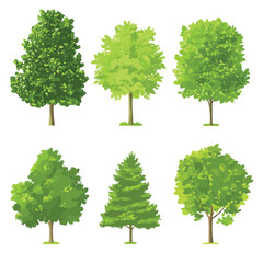 Set of Green trees