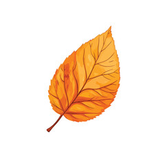 Fototapeta premium Isolated vector of autumn leaf