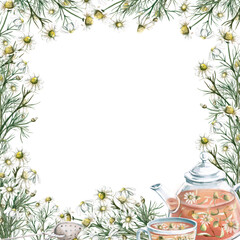 Transparent teapot with cup of chamomile tea in frame of flowers. Isolated watercolor illustration for design of herbal infusions, teas, menu of cafes and restaurants