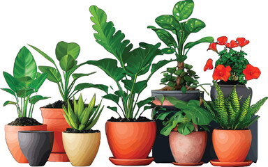 Fototapeta premium Vector Illustration Image of ornamental flower plants in pots that are often planted in front of the house as greenery
