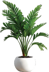 Vector Illustration Image of ornamental flower plants in pots that are often planted in front of the house as greenery