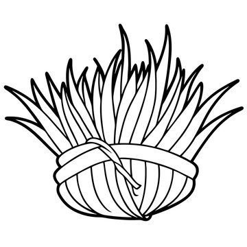 recommend clip art: hay bunch outline coloring book page line art drawing