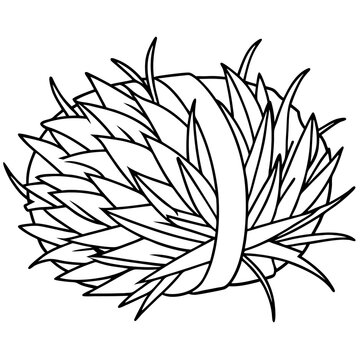 recommend clip art: hay bunch outline coloring book page line art drawing