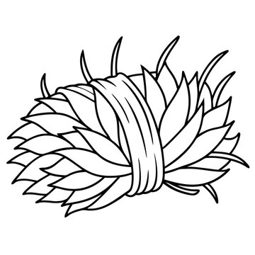 recommend clip art: hay bunch outline coloring book page line art drawing