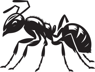 Ant insect Silhouette vector illustration isolated on a white background