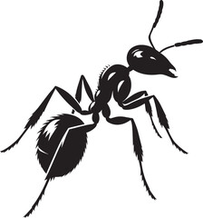 Ant insect Silhouette vector illustration isolated on a white background