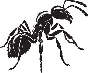 Ant insect Silhouette vector illustration isolated on a white background