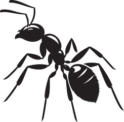 Ant insect Silhouette vector illustration isolated on a white background
