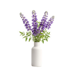 Fototapeta premium Purple Lupine Flowers in White Vase