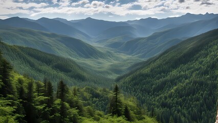 Fototapeta premium panorama of the mountains