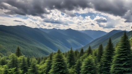 Fototapeta premium landscape with clouds