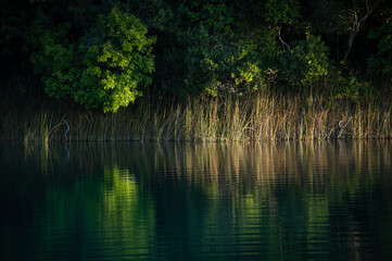 Lake Eacham, a tranquil crater lake in the Wet Tropics of northern Queensland, Australia