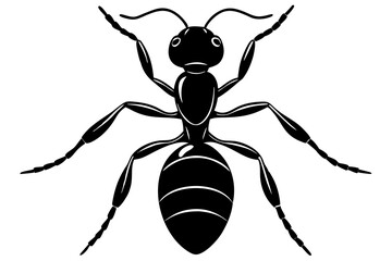 ant icon, ordinary ant, ant silhouette vector