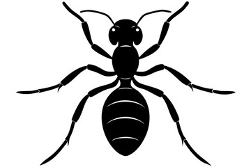 ant icon, ordinary ant, ant silhouette vector