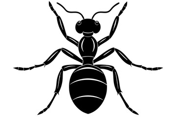 ant icon, ordinary ant, ant silhouette vector