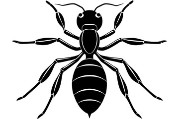 ant icon, ordinary ant, ant silhouette vector