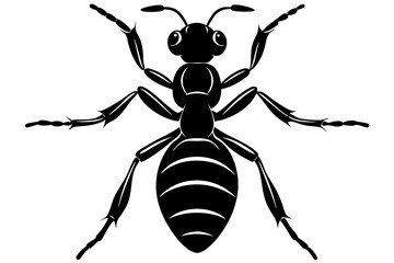 ant icon, ordinary ant, ant silhouette vector