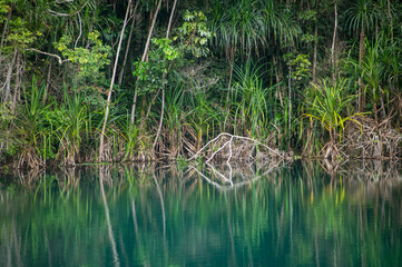 Lake Eacham, a tranquil crater lake in the Wet Tropics of northern Queensland, Australia
