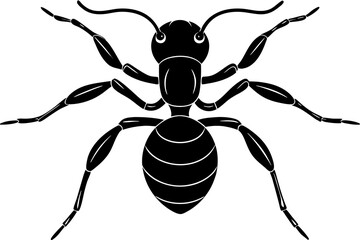 ant icon, ordinary ant, ant silhouette vector