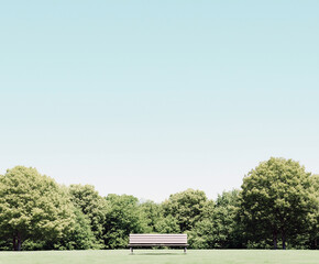 Green Park with Trees and Bench Under Clear Sky