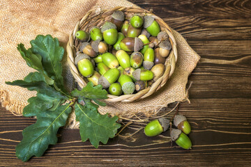 wicker basket full of acorns with oak leaves on wooden board, autumn concept