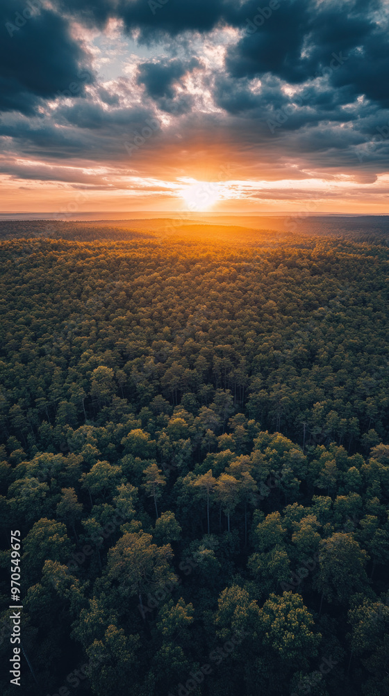Poster a beautiful sunset over a forest with a large tree in the foreground. the sky is filled with clouds 
