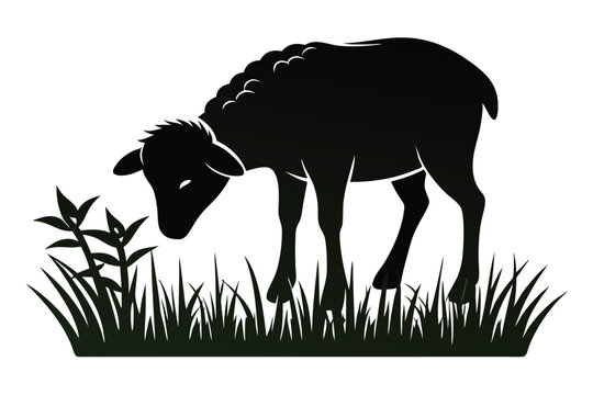 black sheep eating grass silhouette clip art preview