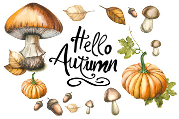 A large set of watercolor elements on the autumn theme and the inscription Hello Autumn.Watercolor elements on a white background,pumpkin,mushrooms, acorns, autumn leaves.Very beautiful watercolor set