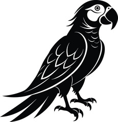 Obraz premium black parrot vector illustration silhouette, Print