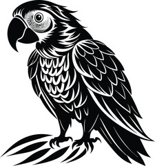 Obraz premium black parrot vector illustration silhouette, Print