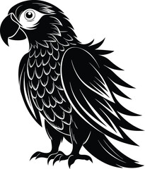Obraz premium black parrot vector illustration silhouette, Print