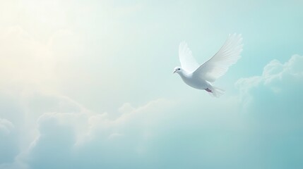 A White Dove Soaring Through a Cloudy Sky