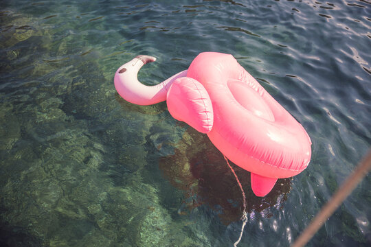 Pink floating flamingo turned over in the ocean and tied to a boat.