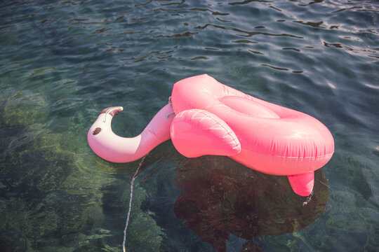 Pink floating flamingo turned over in the ocean and tied to a boat.