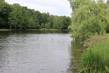 Schöner Park im Sommer in Bad Wünnenberg in Nordrhein-Westfalen