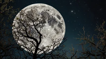 Full Moon in a Starry Night