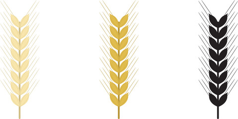 Wheat vector.