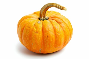 Obraz premium A fresh Pumpkin isolated on white