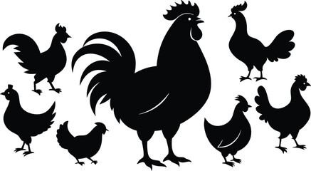 Fototapeta premium silhouettes of rooster and hens in various poses vector illustration silhouette, Print