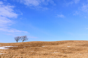 北海道平取町、初春の二柏の丘【3月】