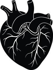 Human heart stock vector illustration art
